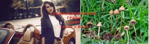 эйфоретик Лихославль
