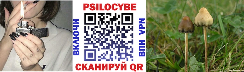 Галлюциногенные грибы мицелий  Питкяранта 